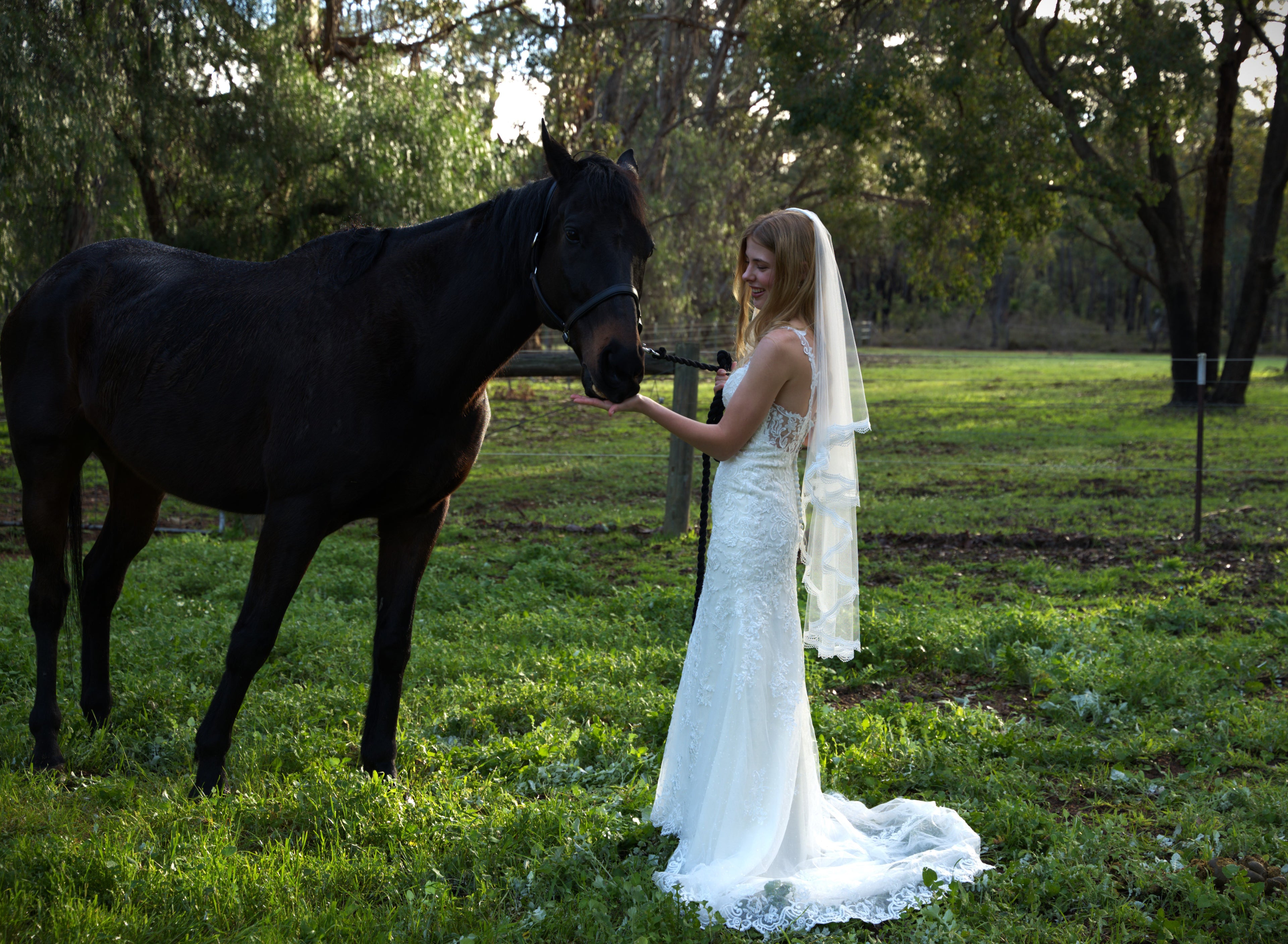 A bride in her Perth wedding dress with a horse
